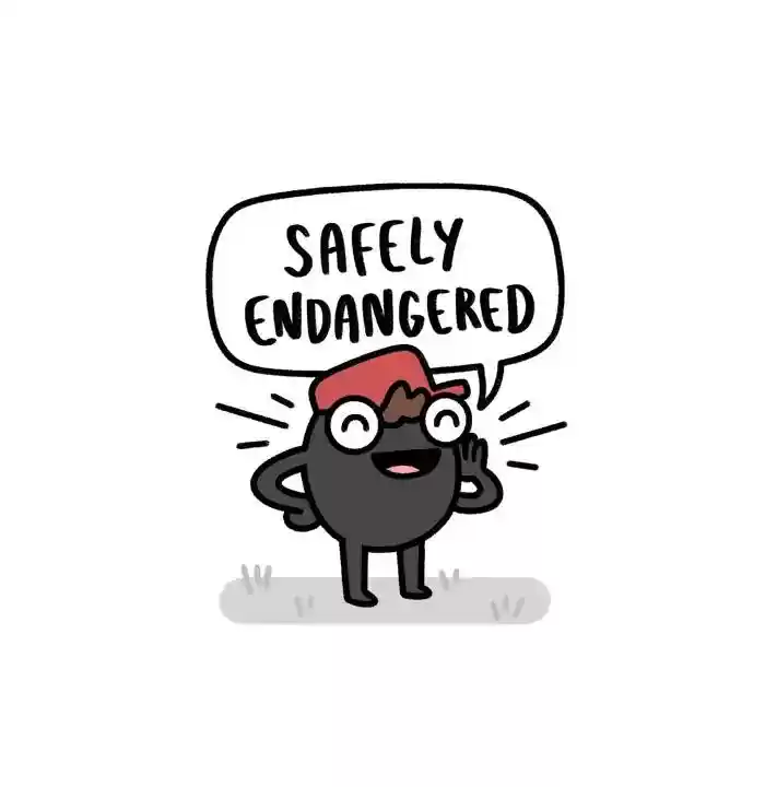 Safely Endangered Chapter 527: Ep.527: