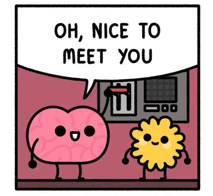 Safely Endangered Chapter 805