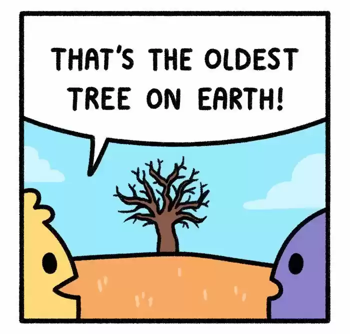 Safely Endangered vol.2 ch.282