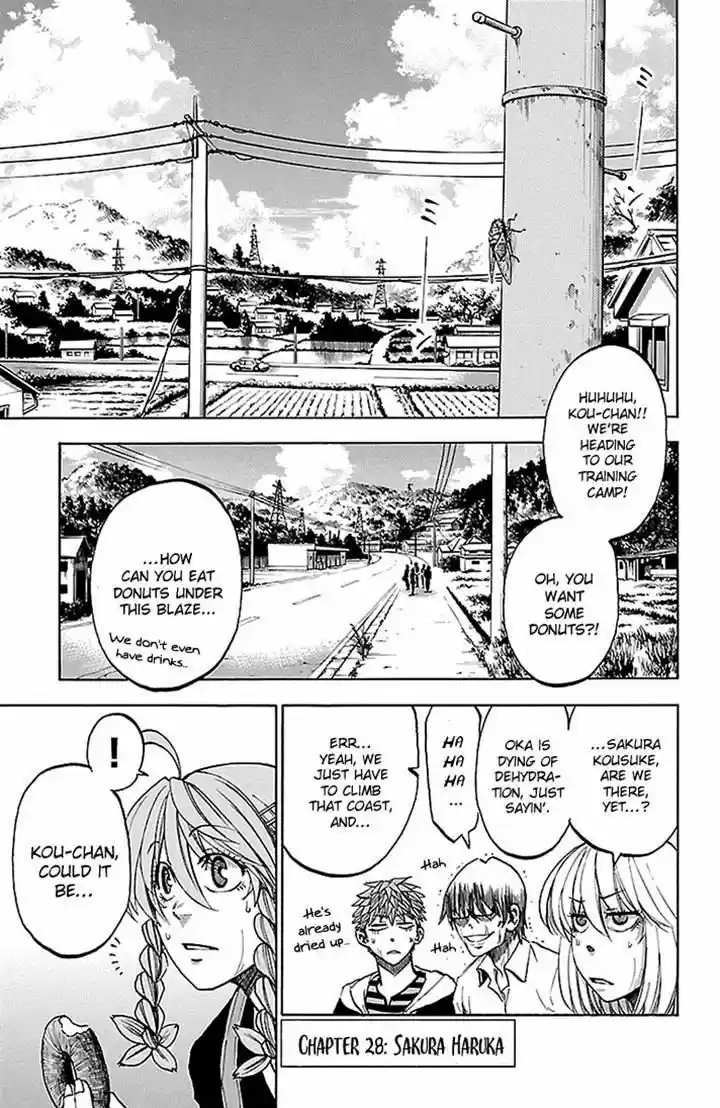 Sakura Discord 28