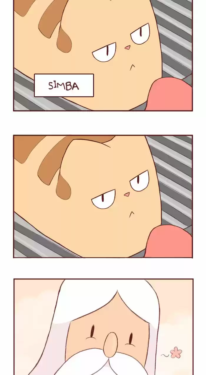 Saphie: The One-Eyed Cat 1