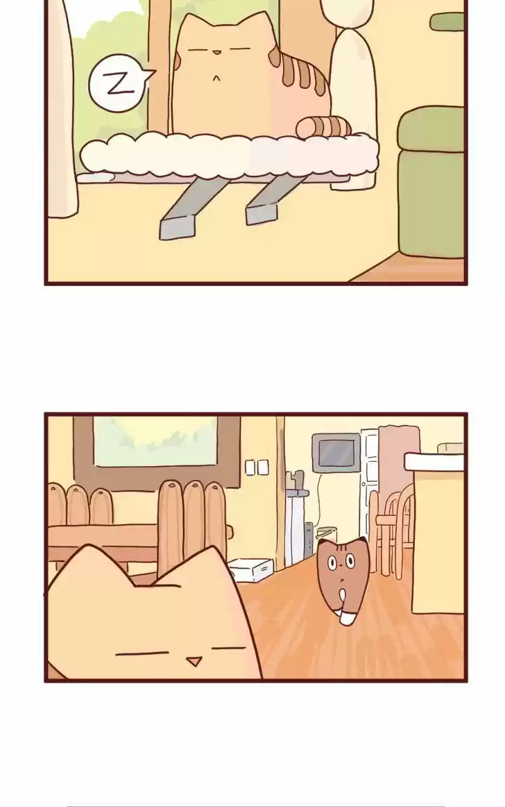 Saphie: The One-Eyed Cat 10