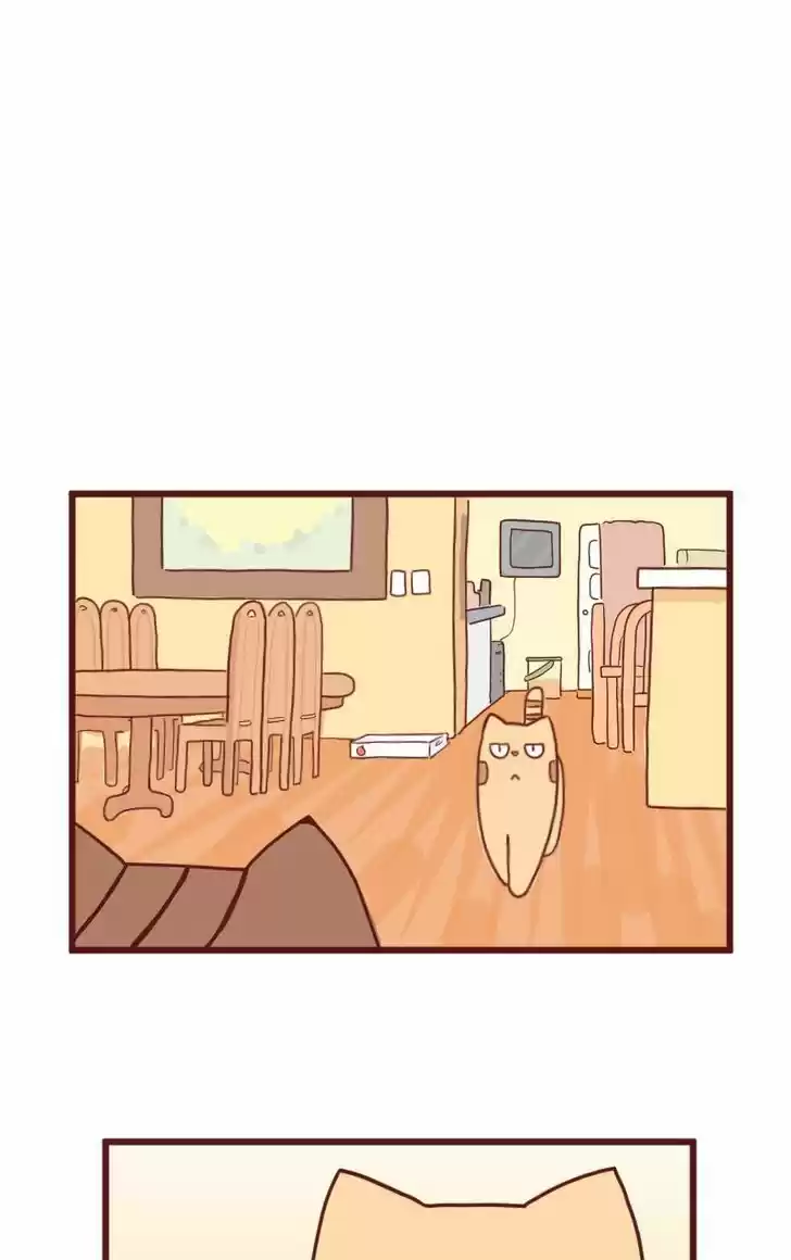 Saphie: The One-Eyed Cat 10