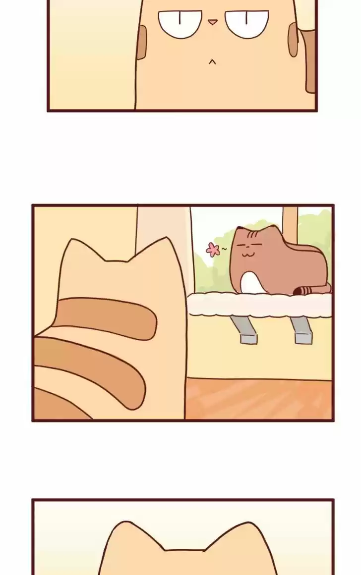 Saphie: The One-Eyed Cat 10