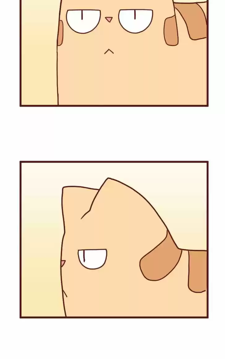 Saphie: The One-Eyed Cat 10