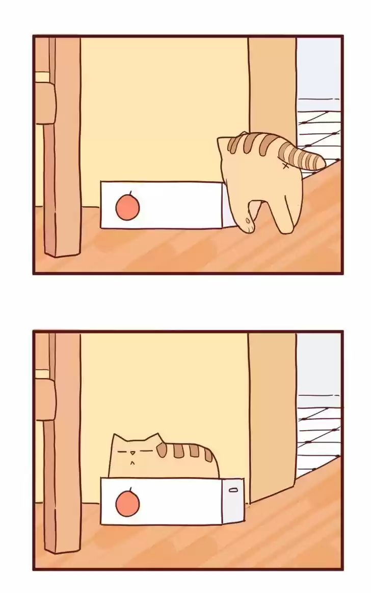 Saphie: The One-Eyed Cat 10