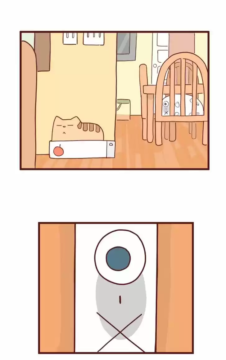 Saphie: The One-Eyed Cat 10