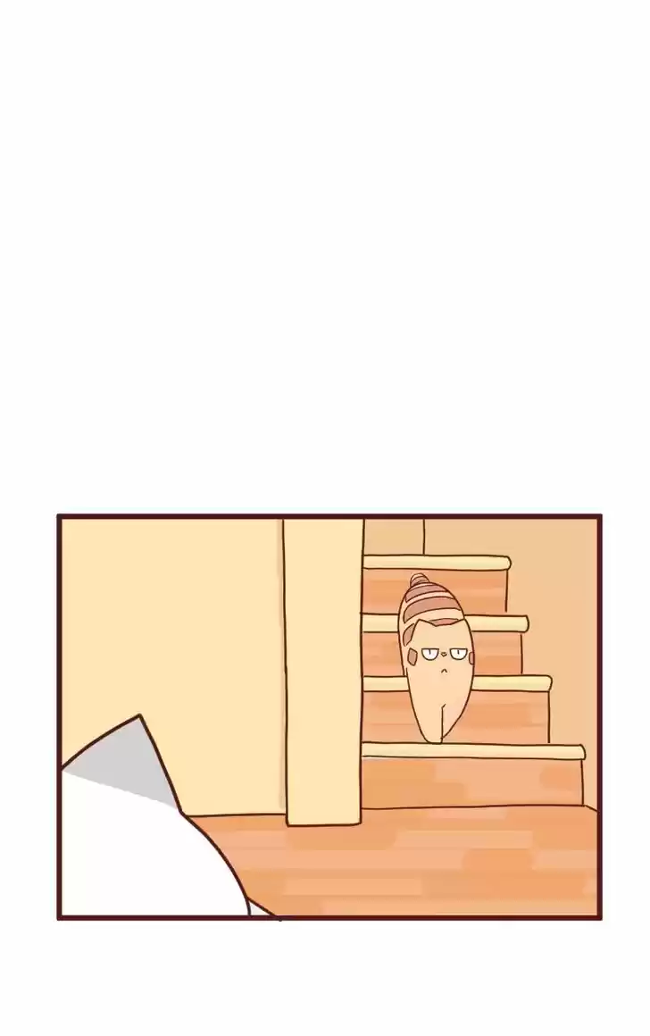 Saphie: The One-Eyed Cat 10