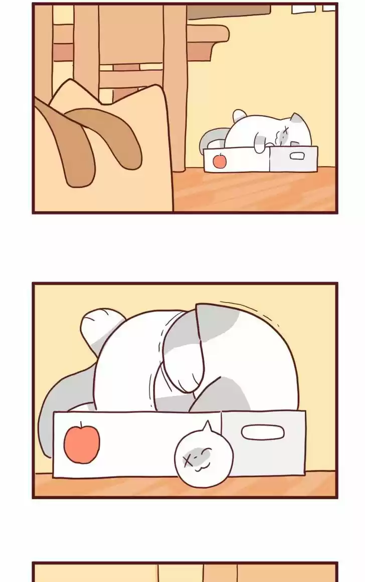 Saphie: The One-Eyed Cat 10