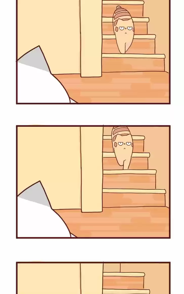 Saphie: The One-Eyed Cat 10