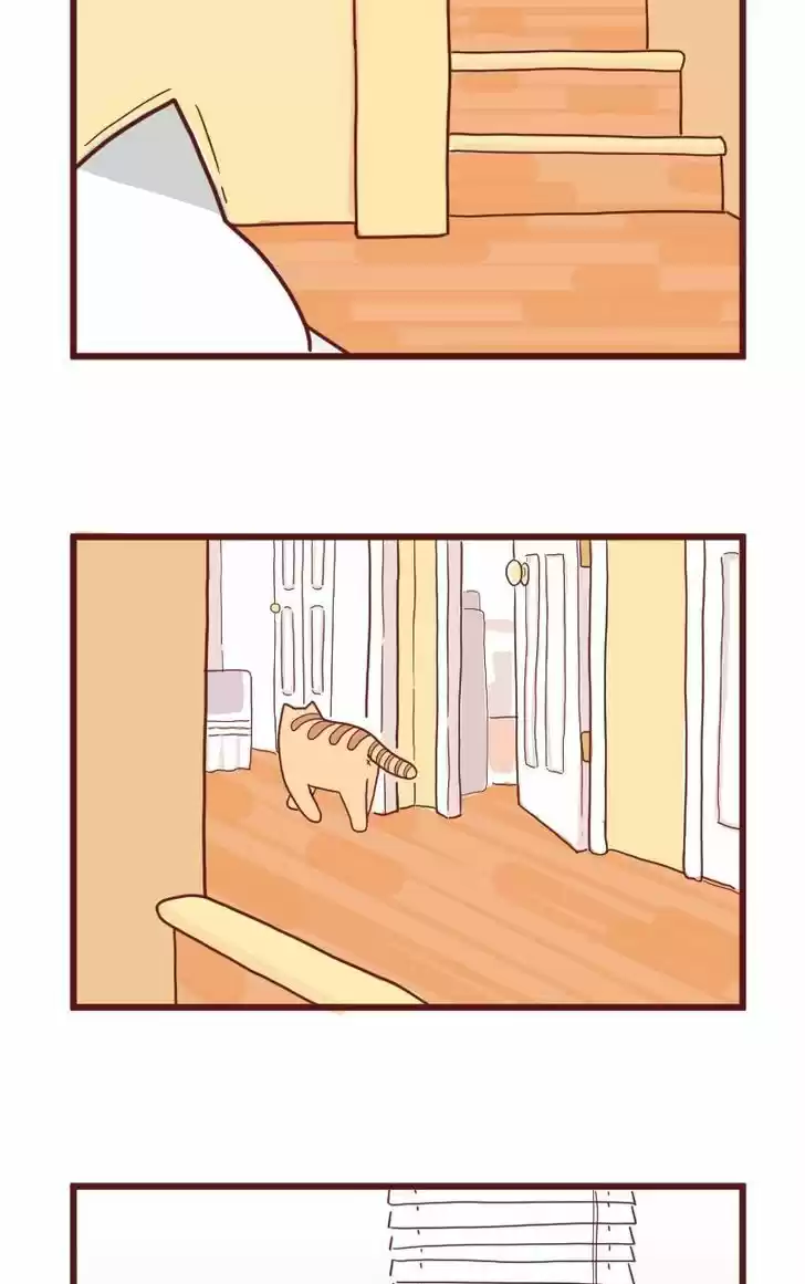 Saphie: The One-Eyed Cat 10