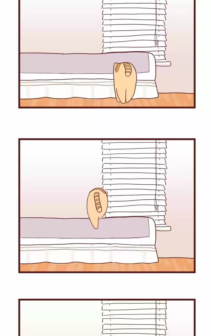 Saphie: The One-Eyed Cat 10