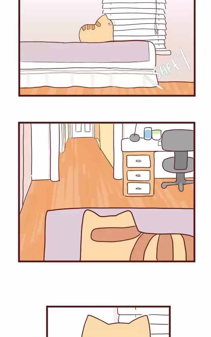 Saphie: The One-Eyed Cat 10