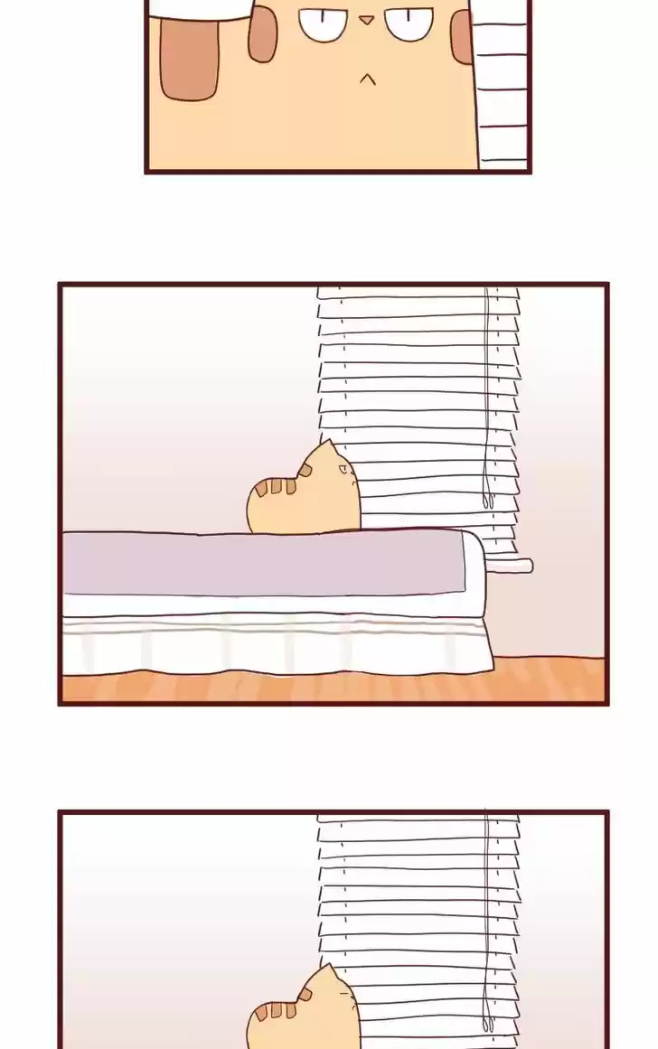 Saphie: The One-Eyed Cat 10