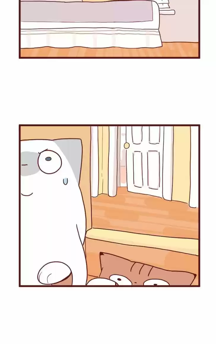 Saphie: The One-Eyed Cat 10