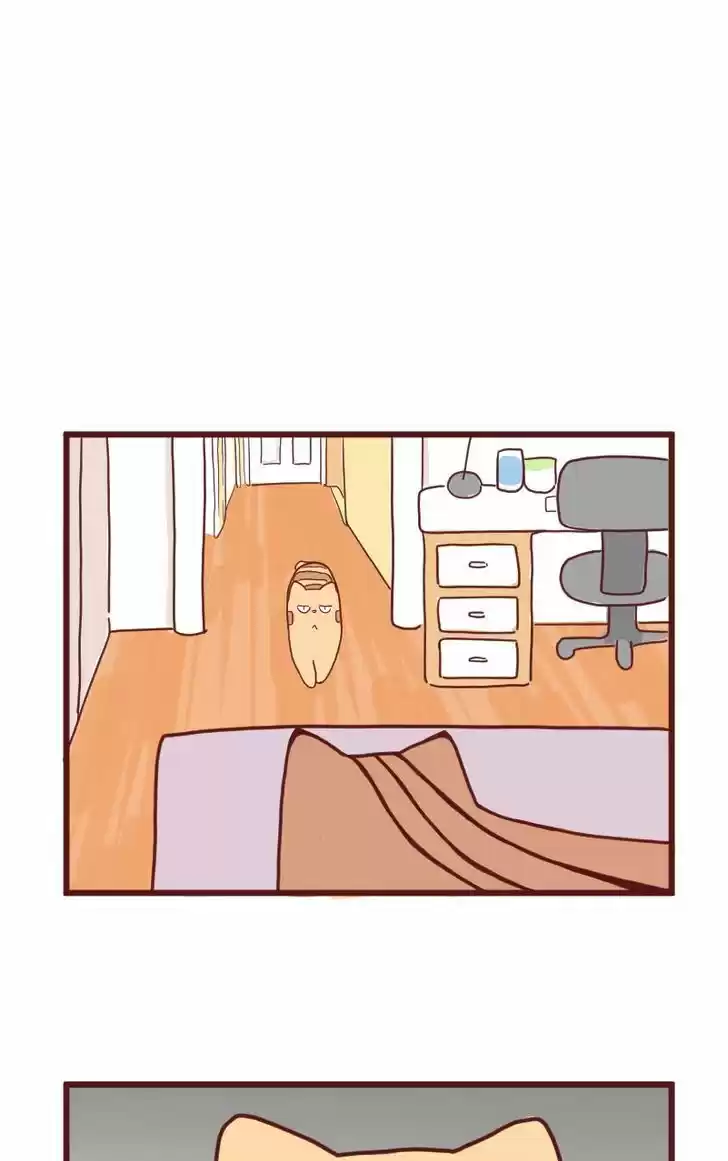 Saphie: The One-Eyed Cat 10