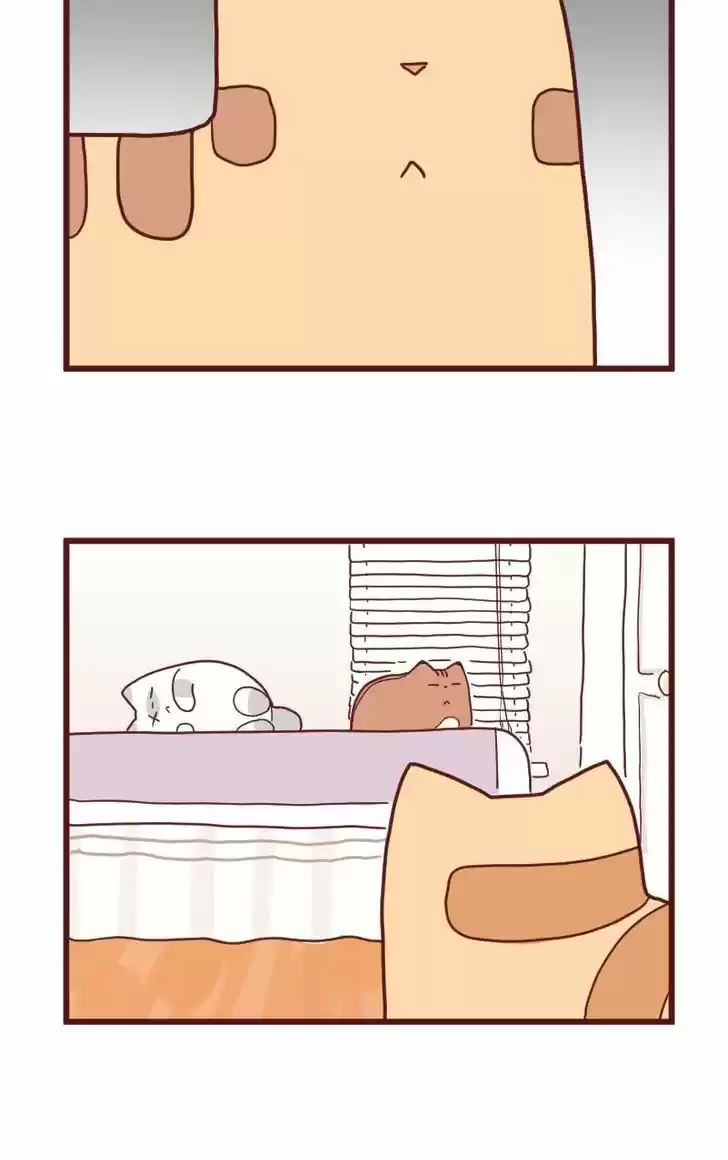 Saphie: The One-Eyed Cat 10