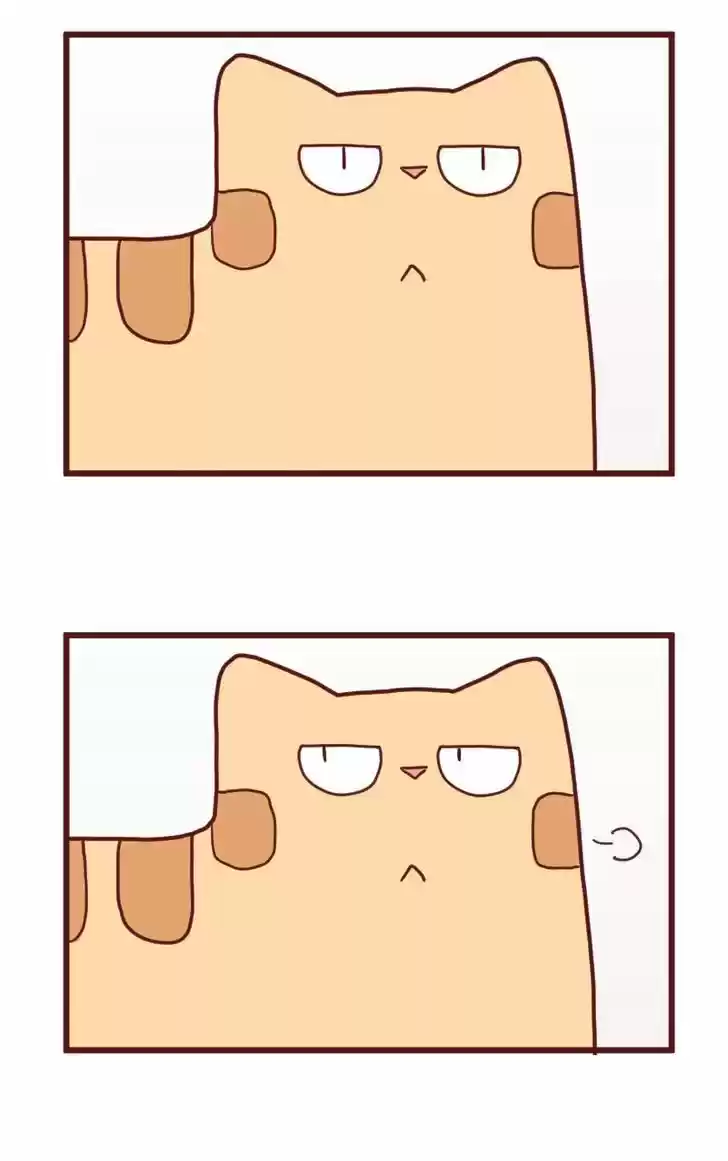 Saphie: The One-Eyed Cat 10