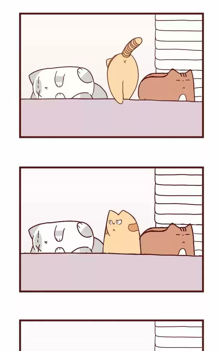 Saphie: The One-Eyed Cat 10