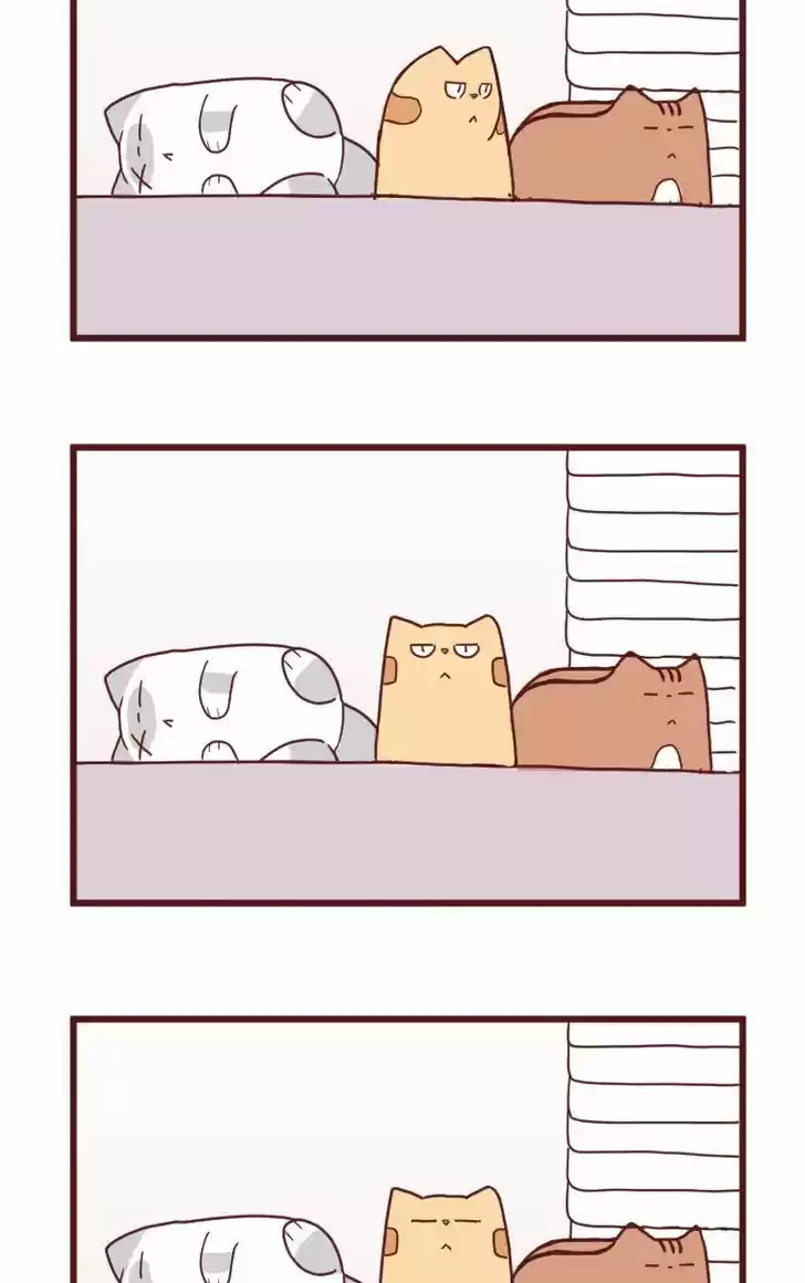 Saphie: The One-Eyed Cat 10