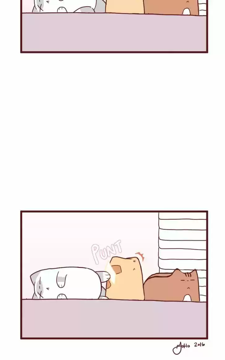 Saphie: The One-Eyed Cat 10