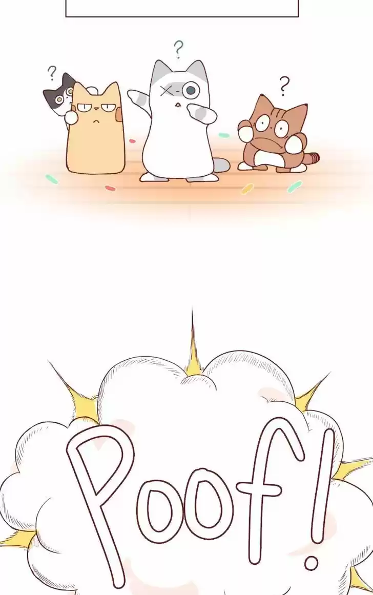 Saphie: The One-Eyed Cat 100