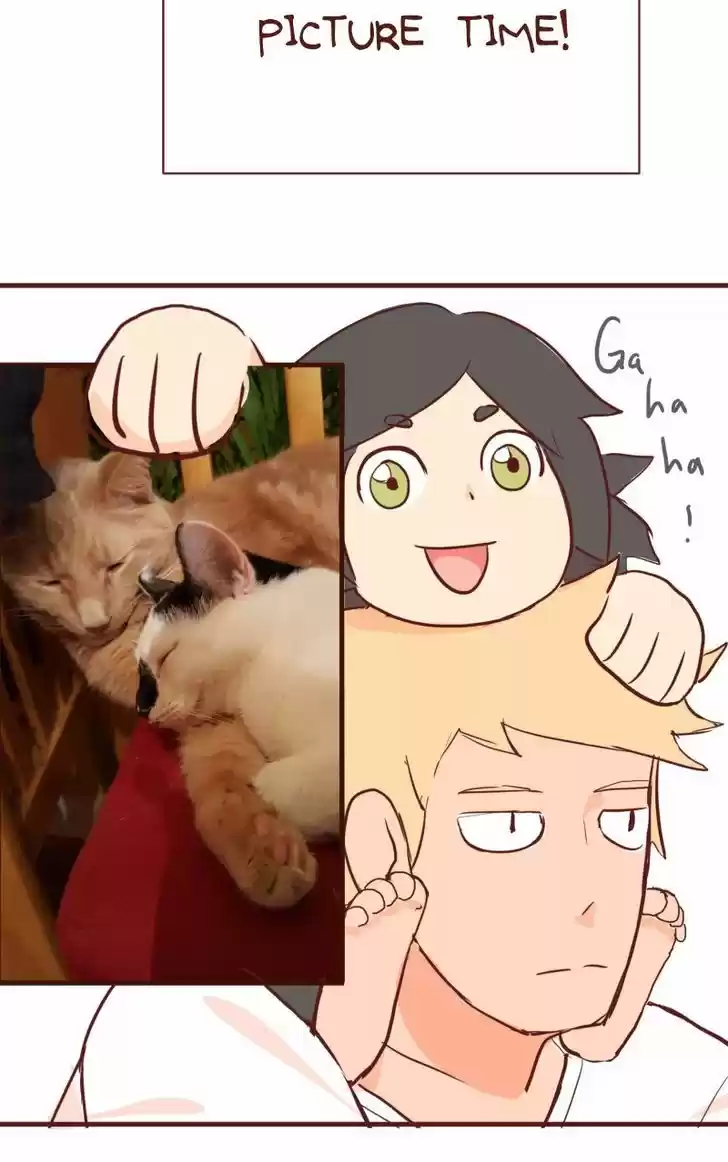 Saphie: The One-Eyed Cat 100