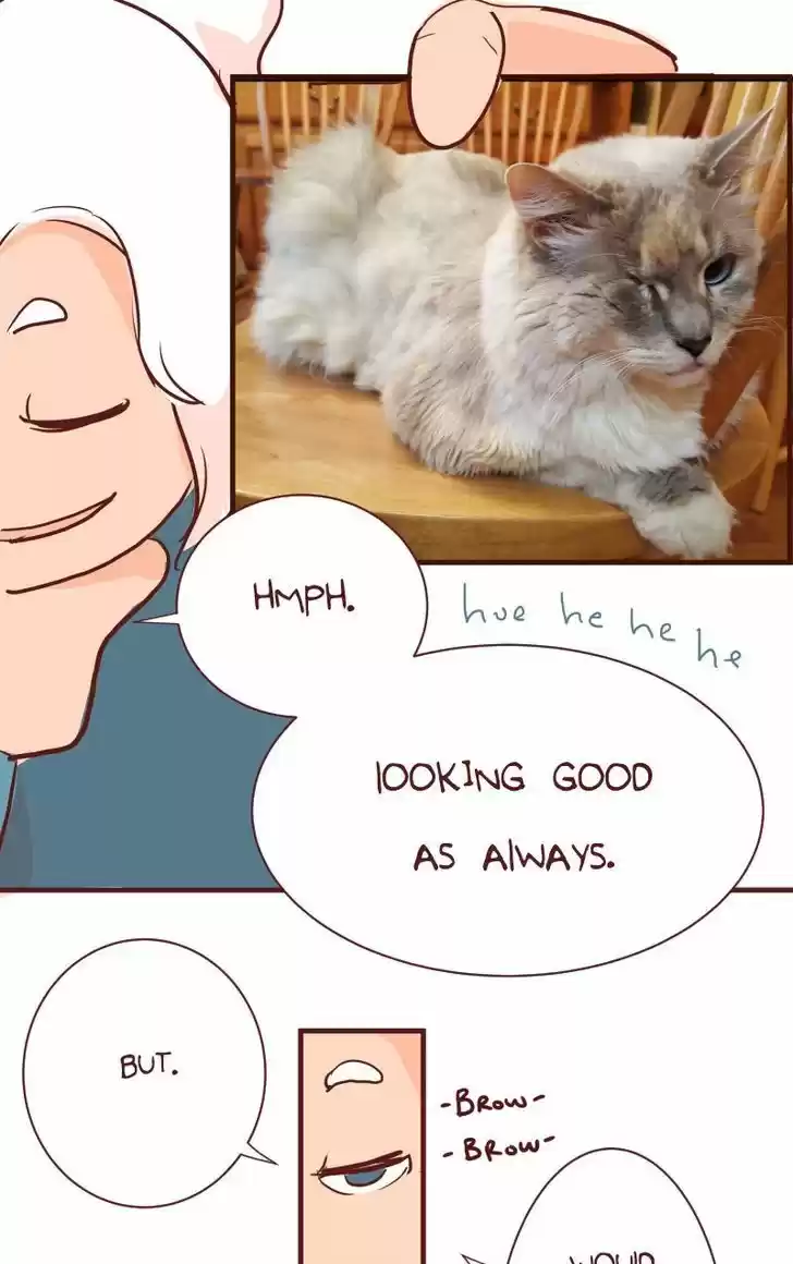 Saphie: The One-Eyed Cat 100