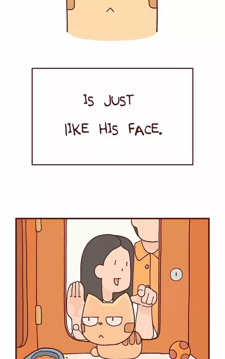 Saphie: The One-Eyed Cat 101