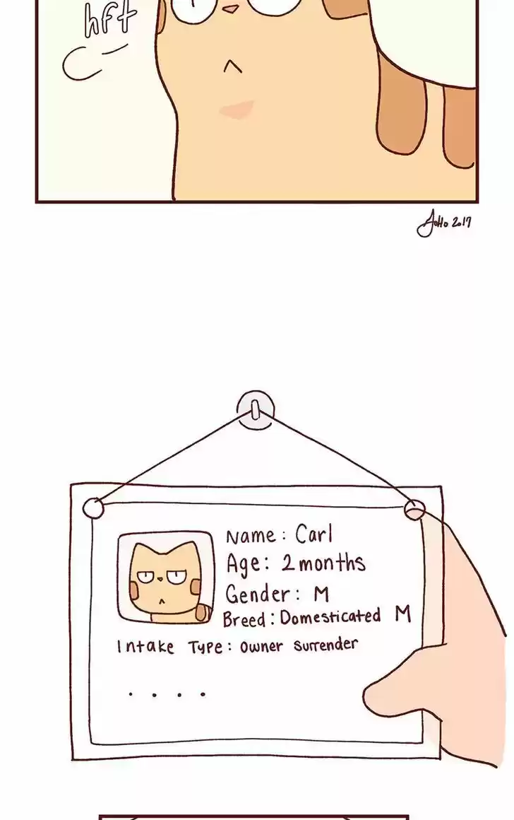 Saphie: The One-Eyed Cat 101