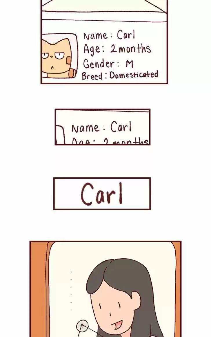 Saphie: The One-Eyed Cat 101