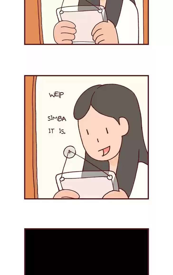 Saphie: The One-Eyed Cat 101