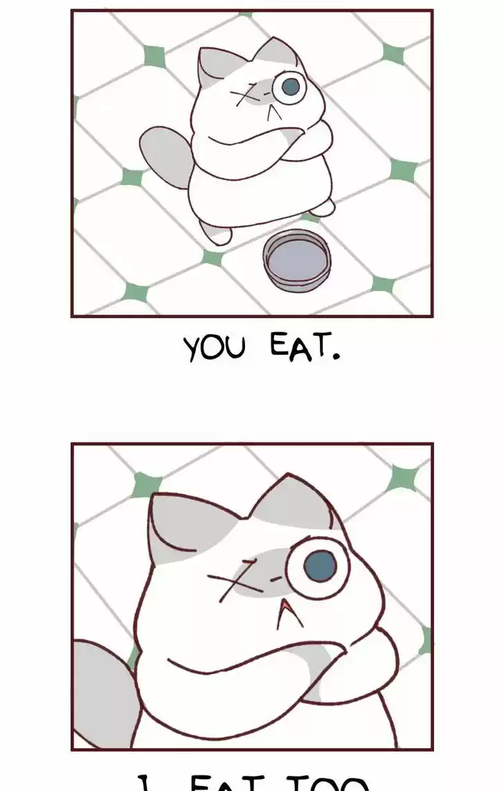 Saphie: The One-Eyed Cat 103