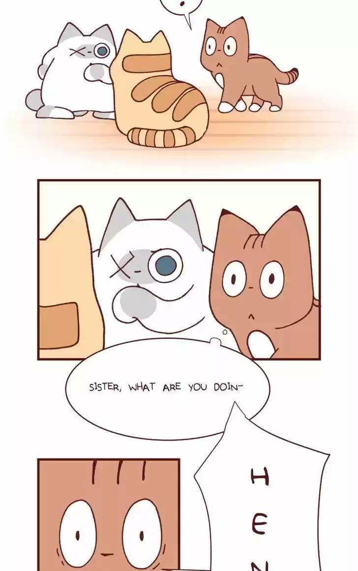 Saphie: The One-Eyed Cat 104