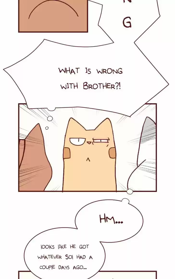 Saphie: The One-Eyed Cat 104