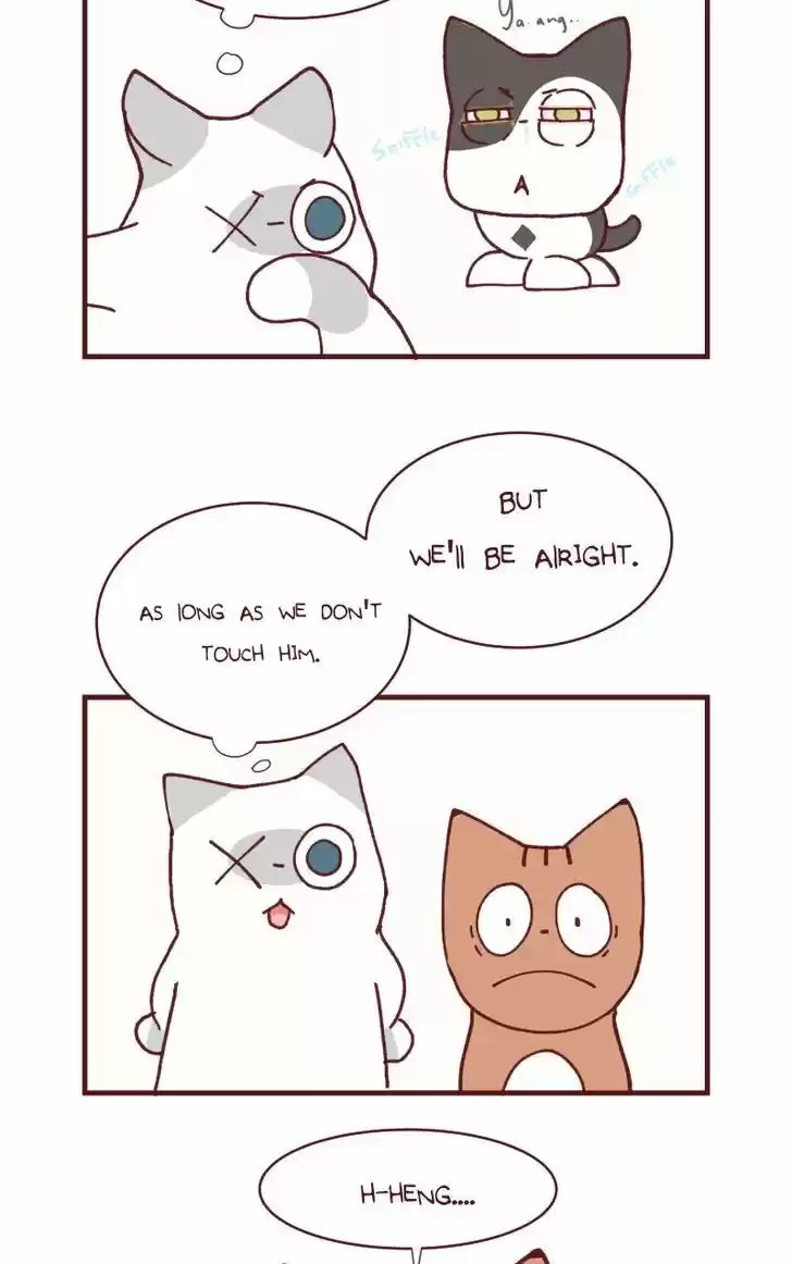 Saphie: The One-Eyed Cat 104