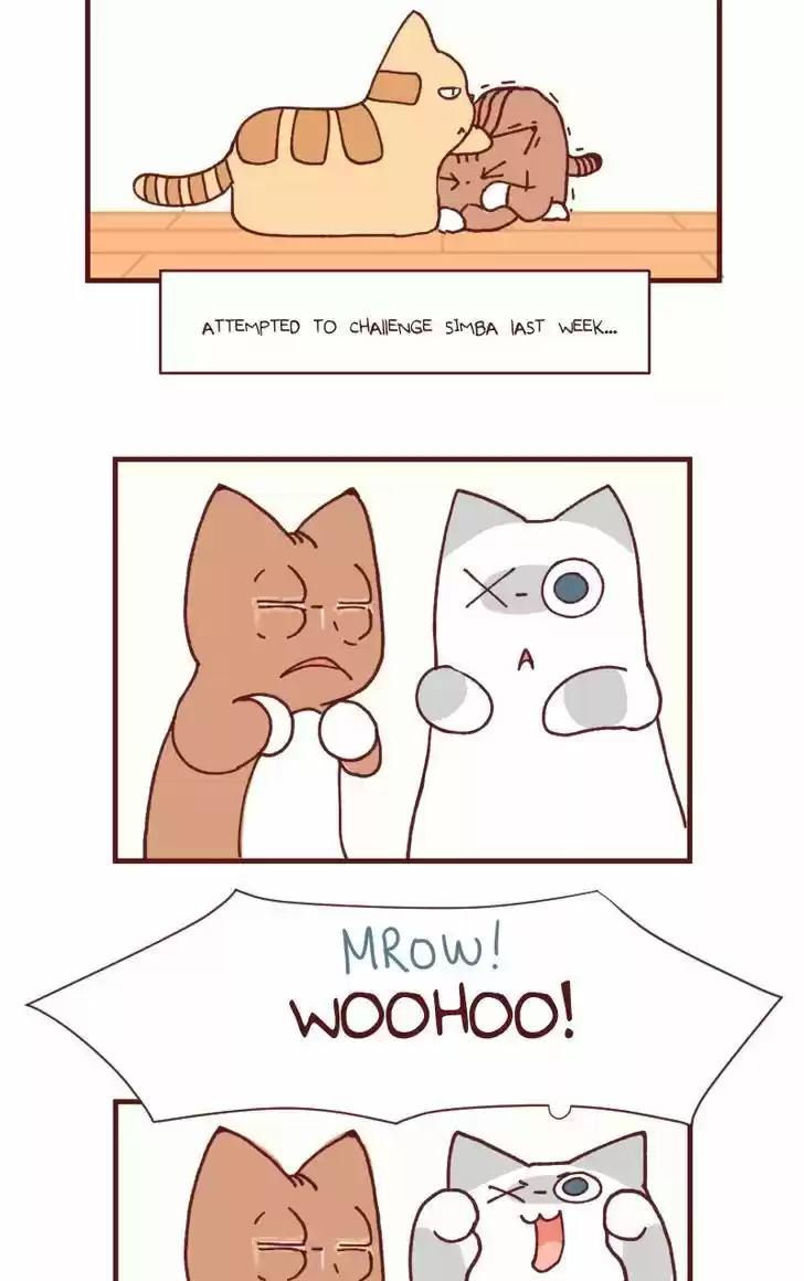 Saphie: The One-Eyed Cat 104