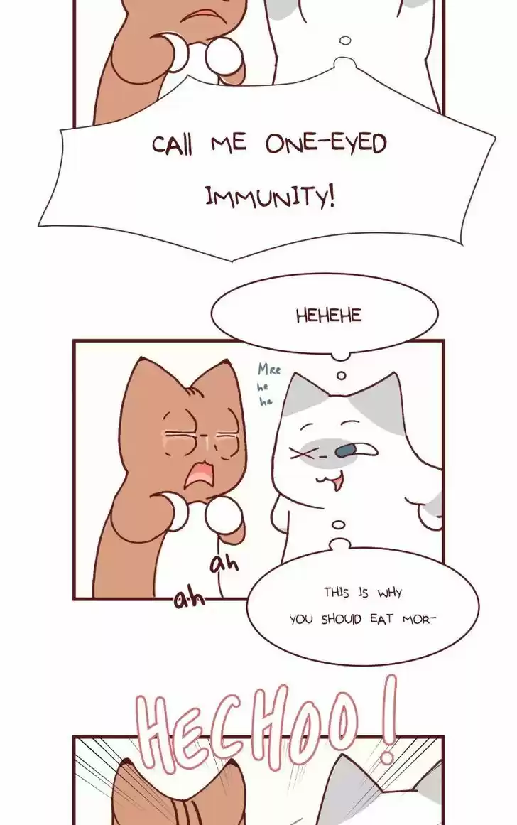 Saphie: The One-Eyed Cat 104