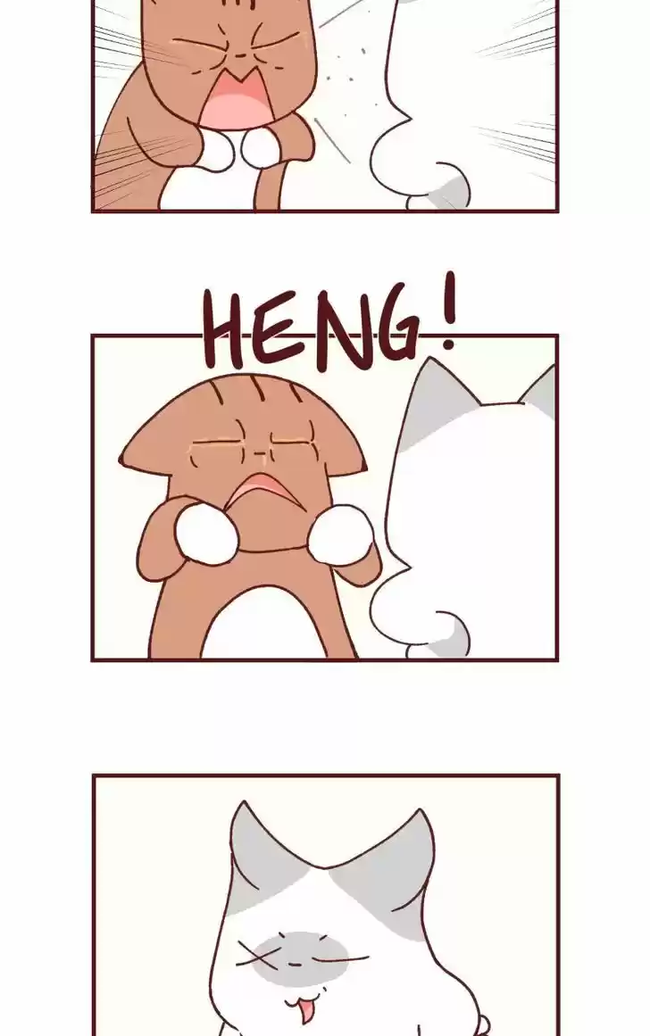 Saphie: The One-Eyed Cat 104