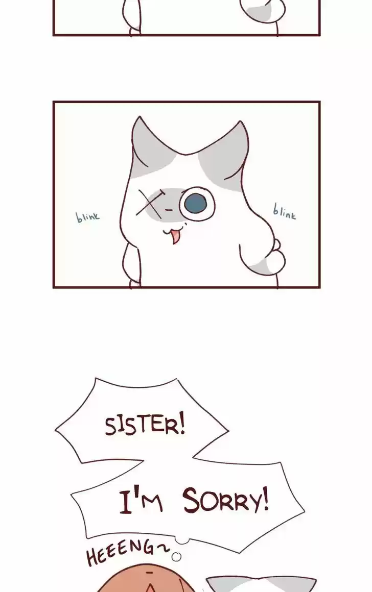 Saphie: The One-Eyed Cat 104