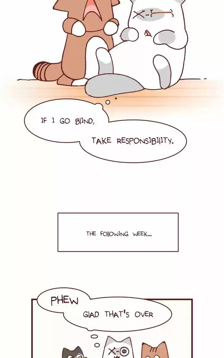 Saphie: The One-Eyed Cat 104