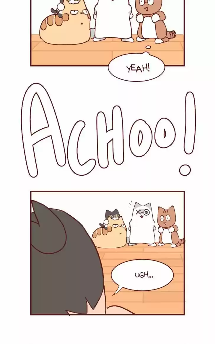 Saphie: The One-Eyed Cat 104