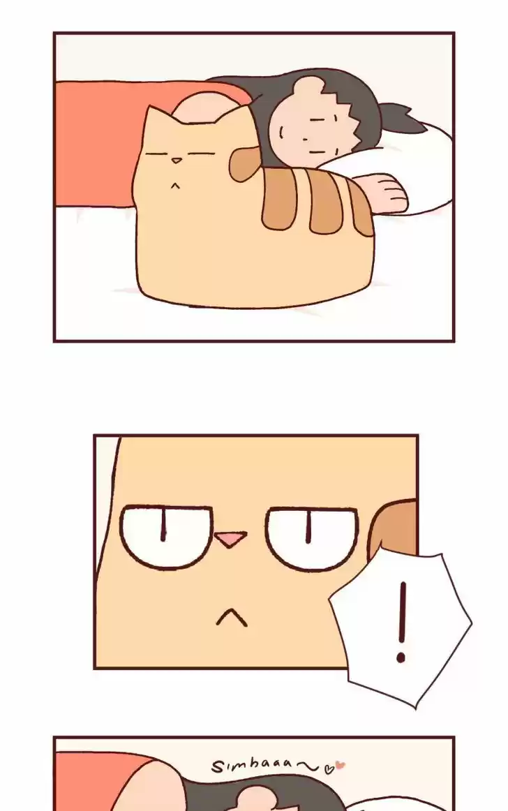 Saphie: The One-Eyed Cat 105