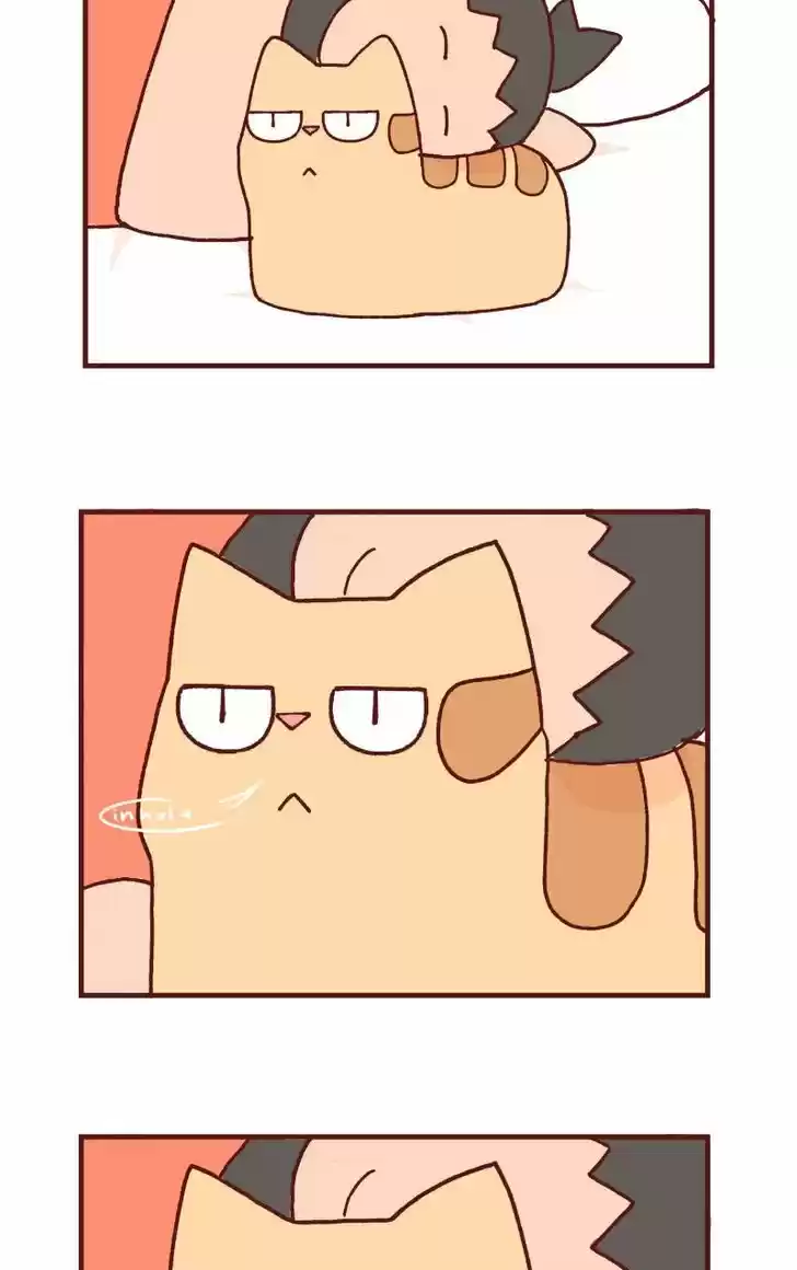 Saphie: The One-Eyed Cat 105