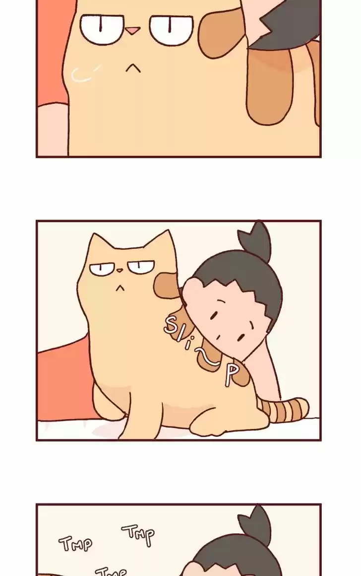 Saphie: The One-Eyed Cat 105