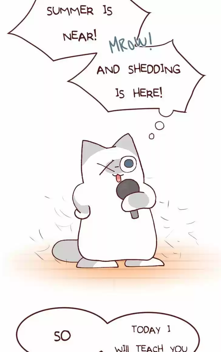 Saphie: The One-Eyed Cat 106