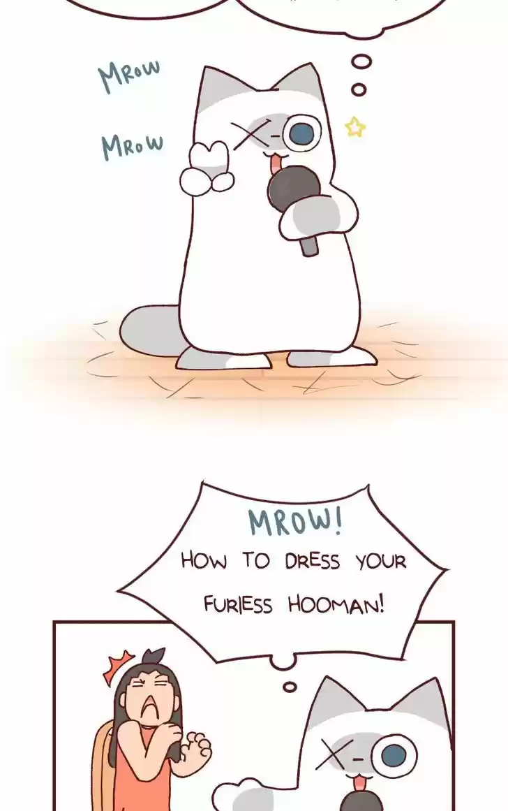 Saphie: The One-Eyed Cat 106