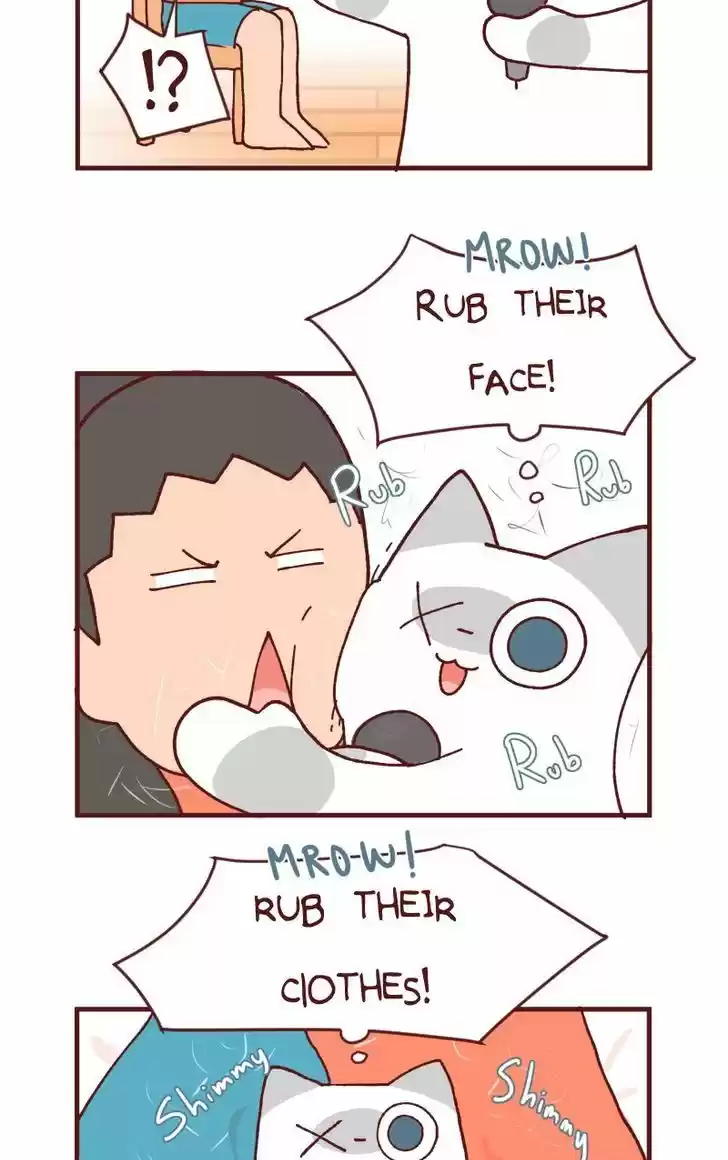 Saphie: The One-Eyed Cat 106