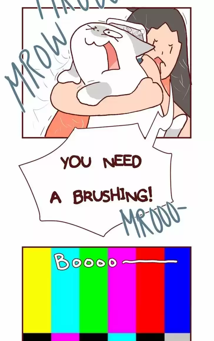 Saphie: The One-Eyed Cat 106