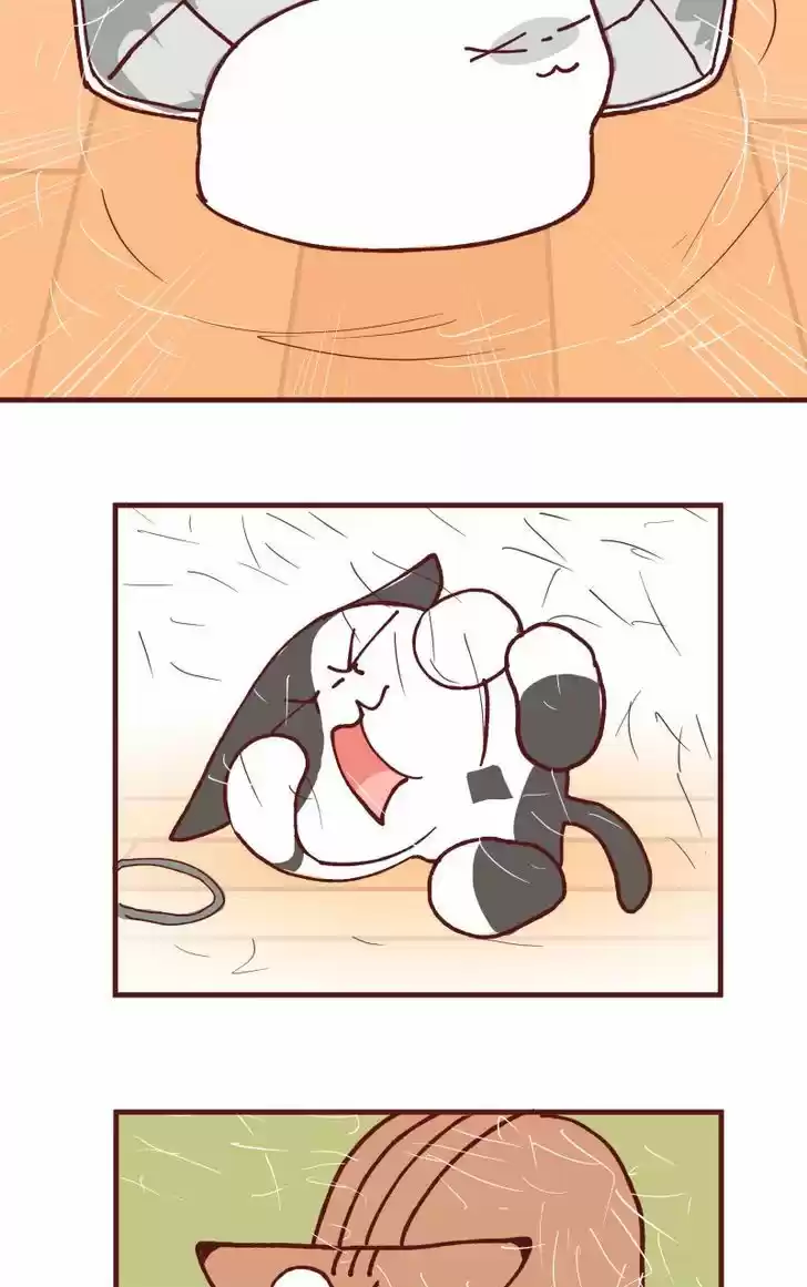 Saphie: The One-Eyed Cat 108